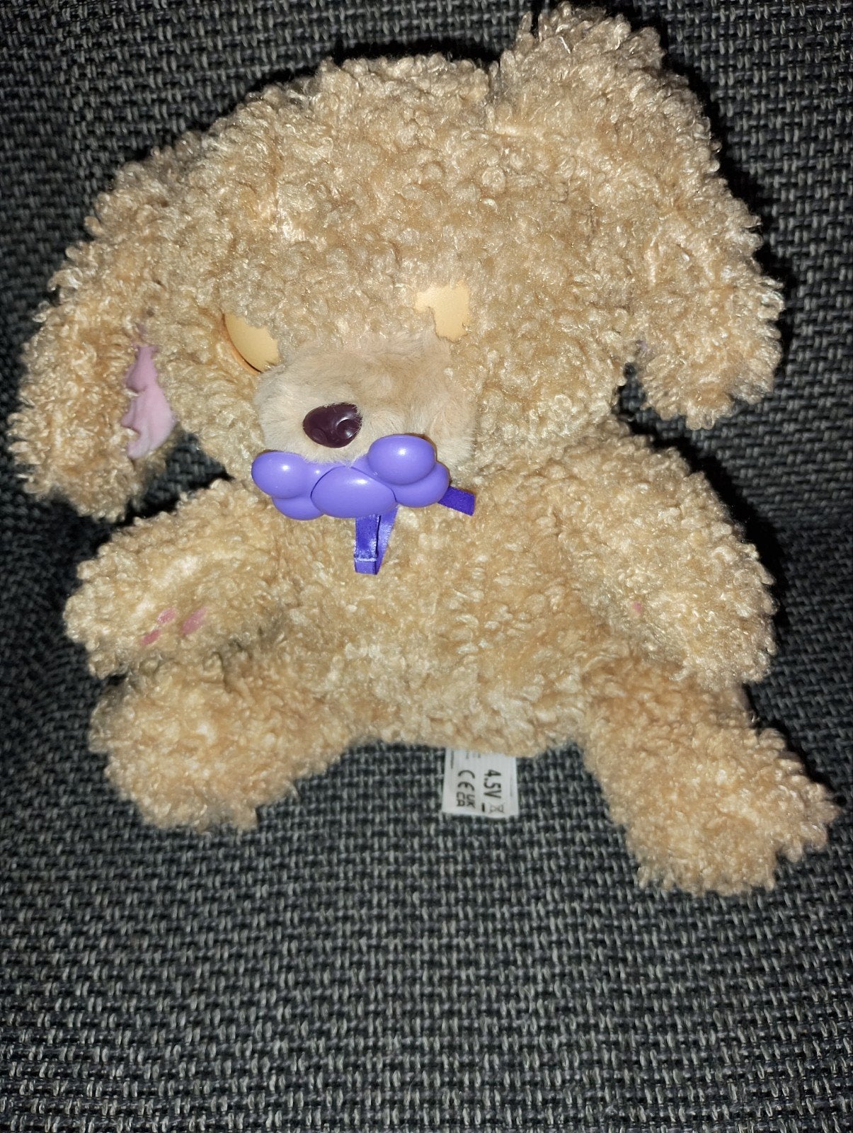 Interactieve labradoodle, Gebruikt, Klein (minder dan 20 cm), Beige, Hond