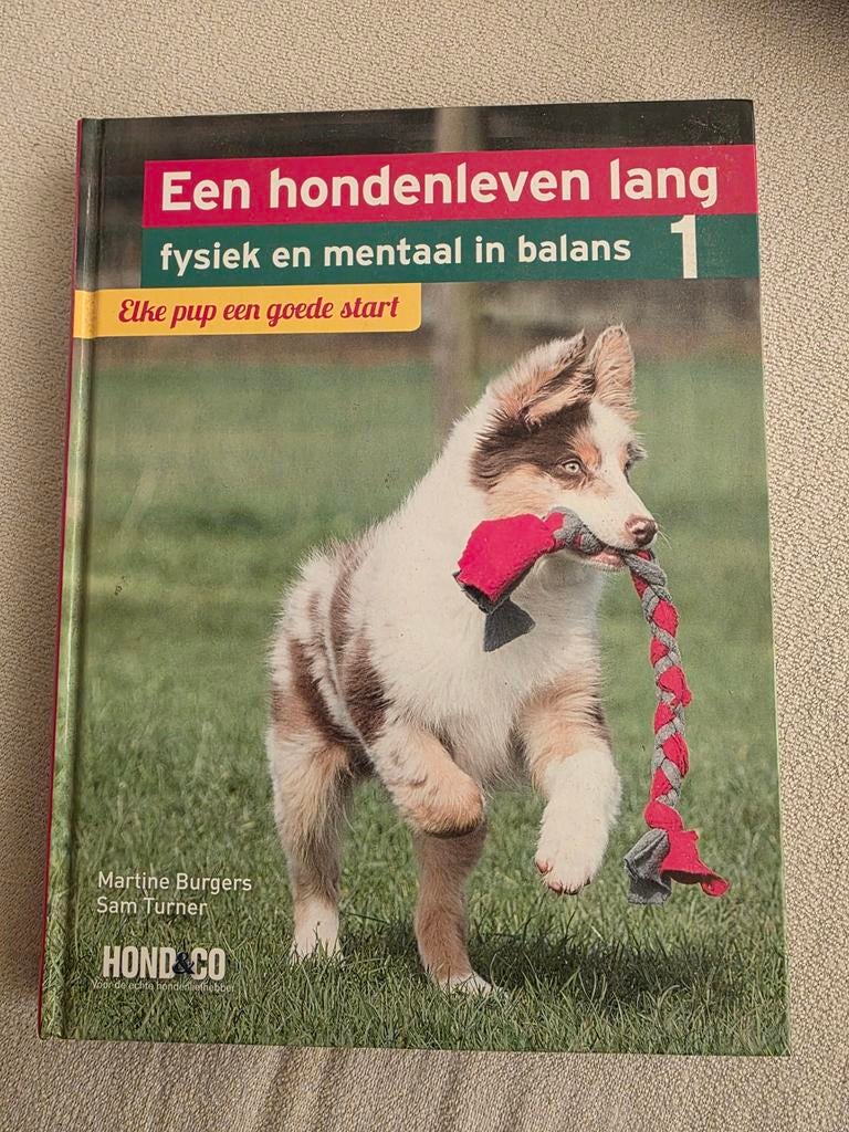 Martine Burgers - Elke pup een goede start, Honden, Ophalen of Verzenden, Zo goed als nieuw, Martine Burgers; Sam Turner