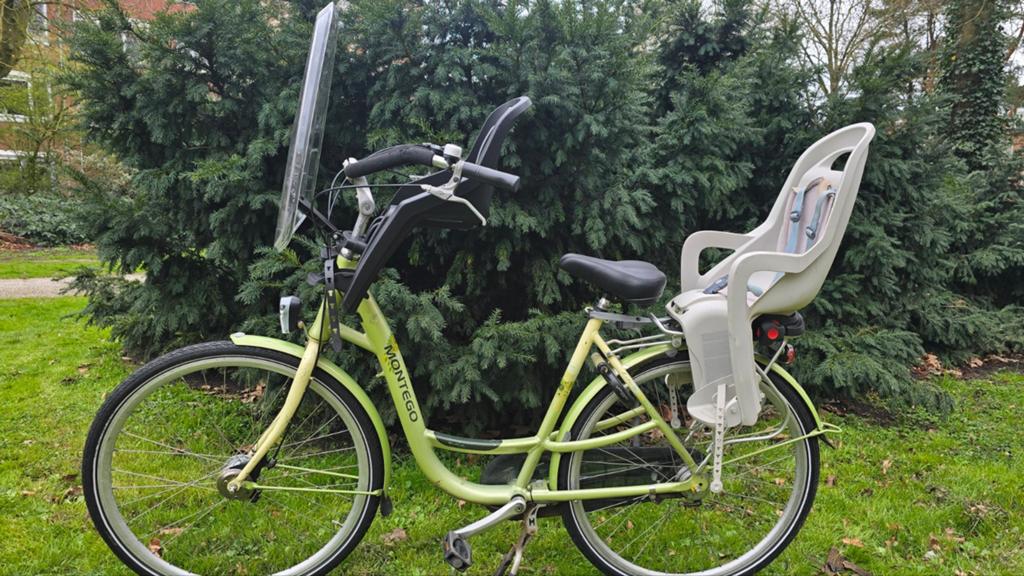 Moederfiets, Fietsen en Brommers, Fietsen | Dames | Moederfietsen, 2 zitjes, Versnellingen, Ophalen, Overige merken