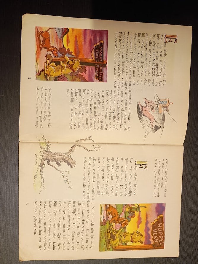 De avonturen van Flip en Flap (deel 1), Boeken, Ophalen of Verzenden, Gelezen, Han Hoekstra, Plaatjesalbum