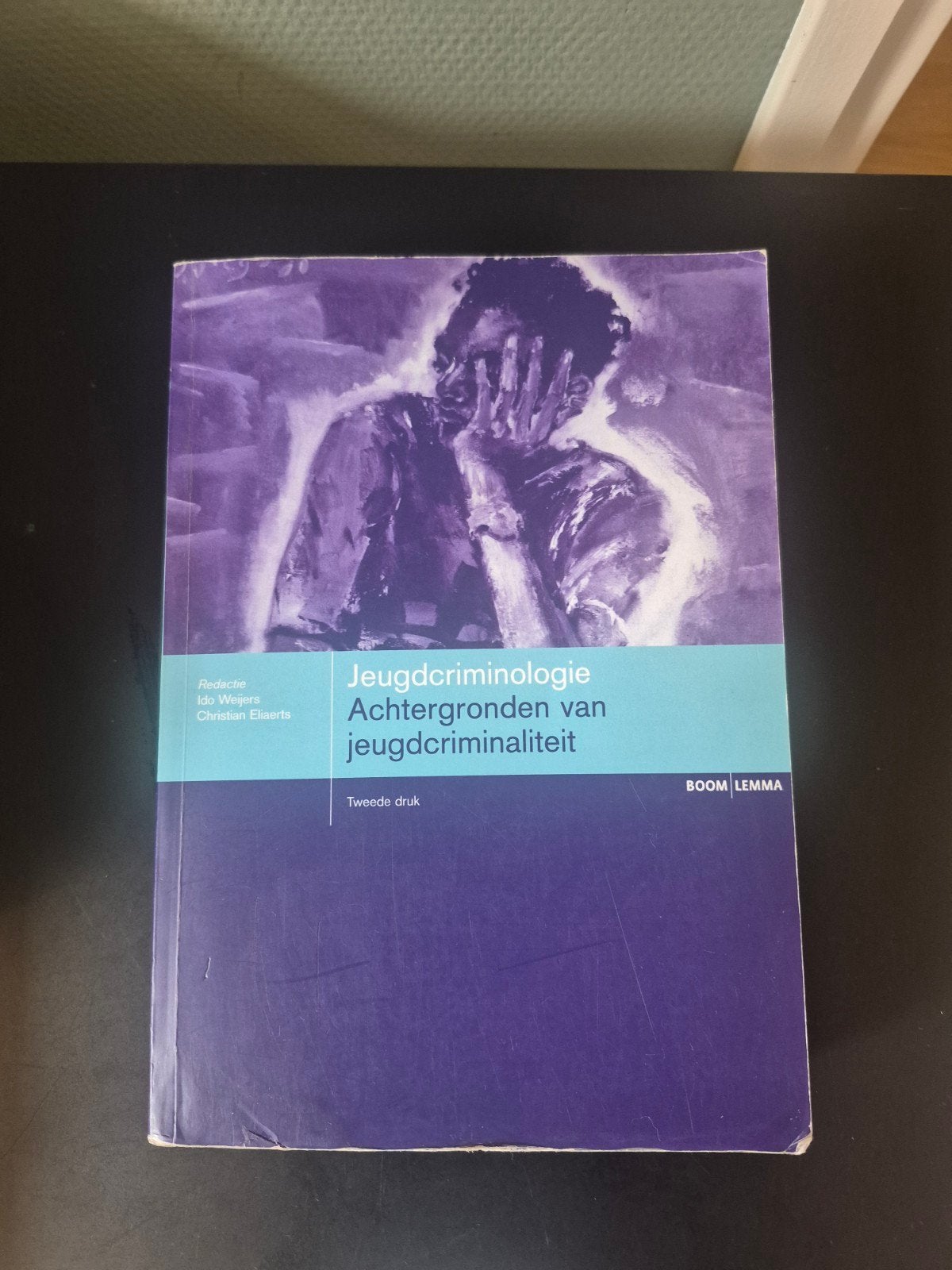 Jeugdcriminologie – Achtergronden van jeugdcriminaliteit – 2, Boeken, Ophalen of Verzenden, Gelezen