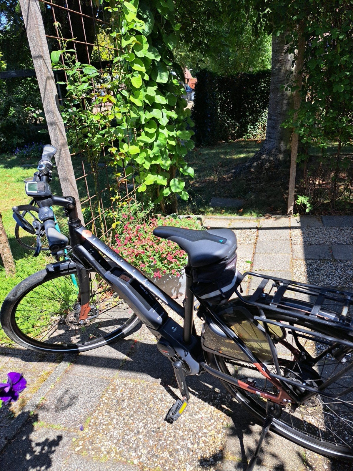 Pegasus elektrische fiets,nog heel goed, 51 tot 55 cm, Ophalen of Verzenden, Zo goed als nieuw, Overige merken