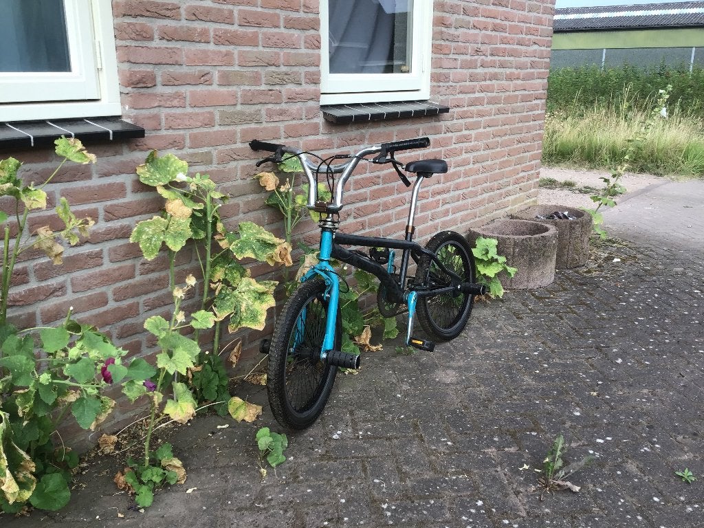 Crossfiets, Ophalen, Staal, Velgrem, 16 tot 20 inch