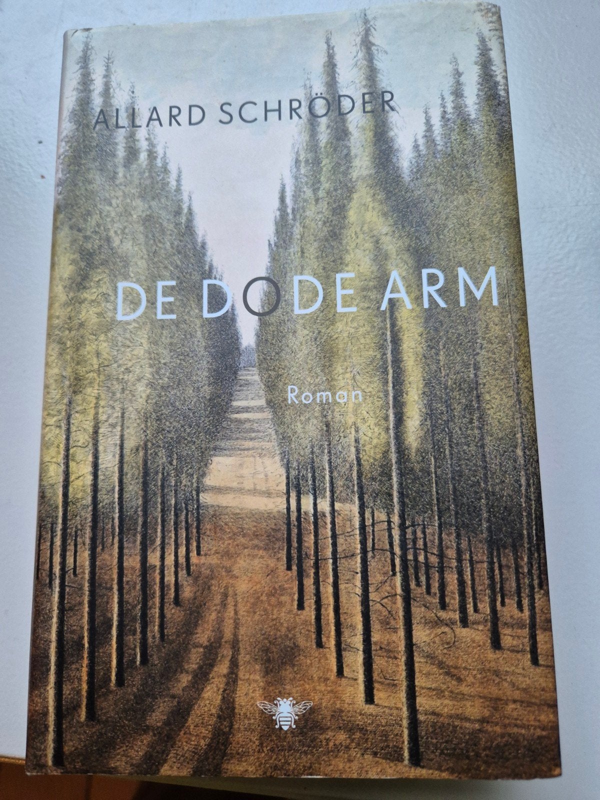 De Dode Arm - Allard Schröder (Roman), Boeken, Ophalen of Verzenden, Gelezen, Allard Schröder, Nederland