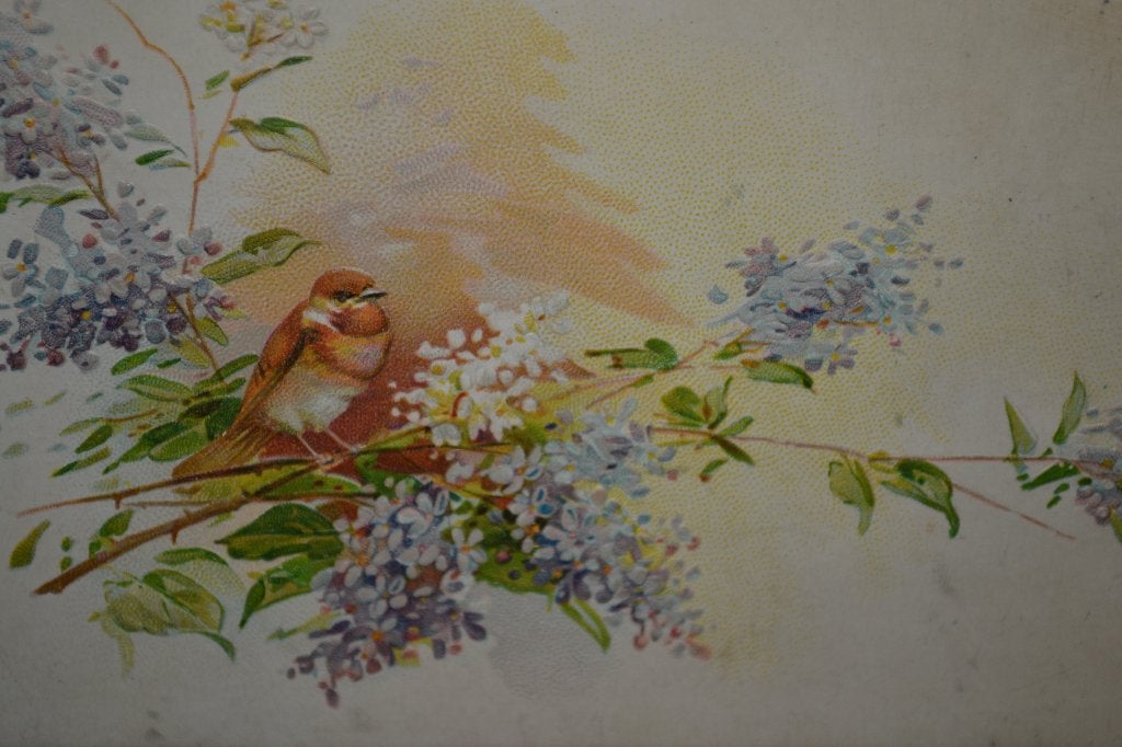 frankrijk 1900 scrap kaartje vogel takken lila seringen, Ophalen of Verzenden, Voor 1920, Sterren en Beroemdheden