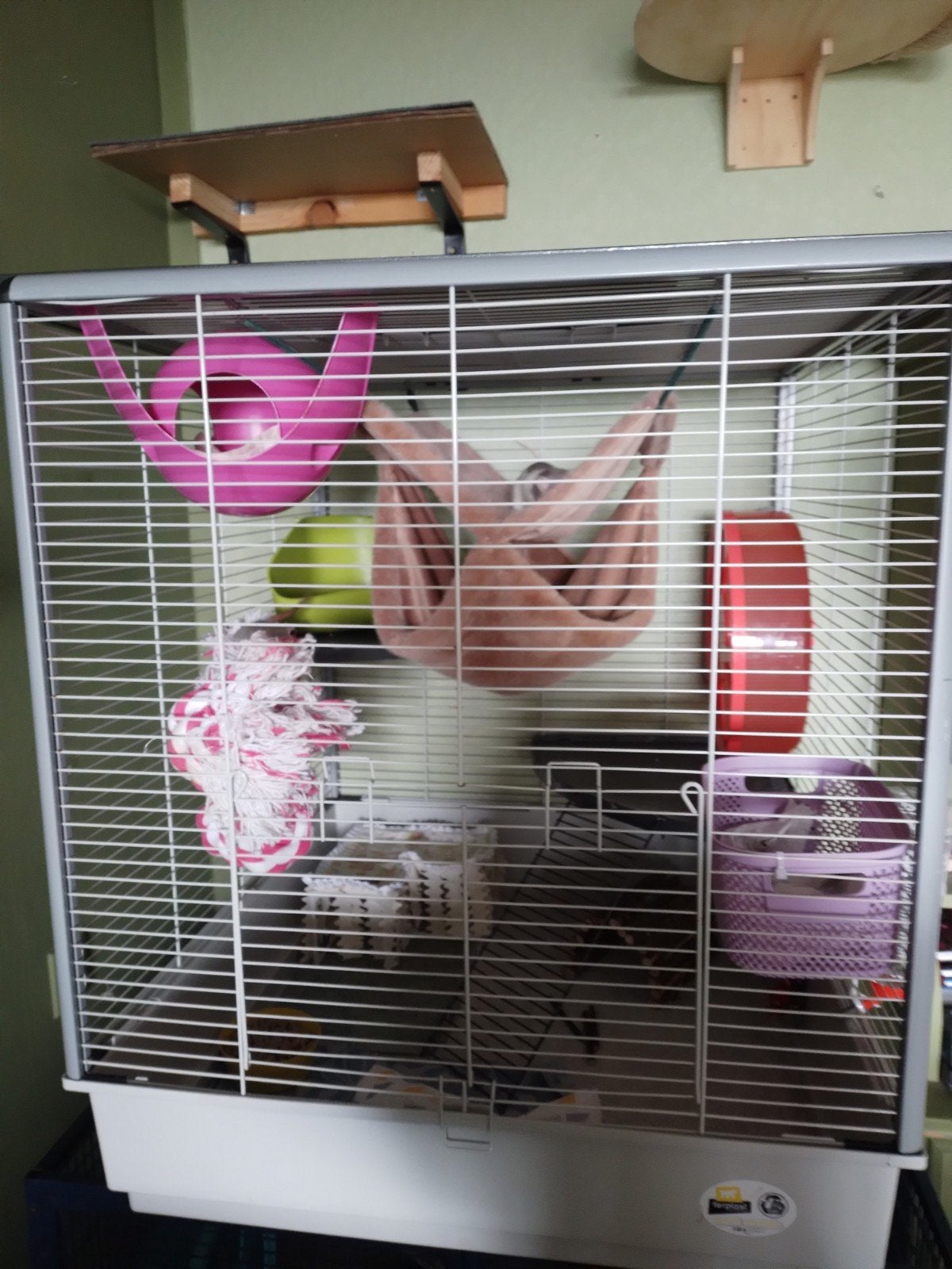 prima kooi spoed, Kooi, 60 tot 90 cm, Ophalen of Verzenden, Zo goed als nieuw