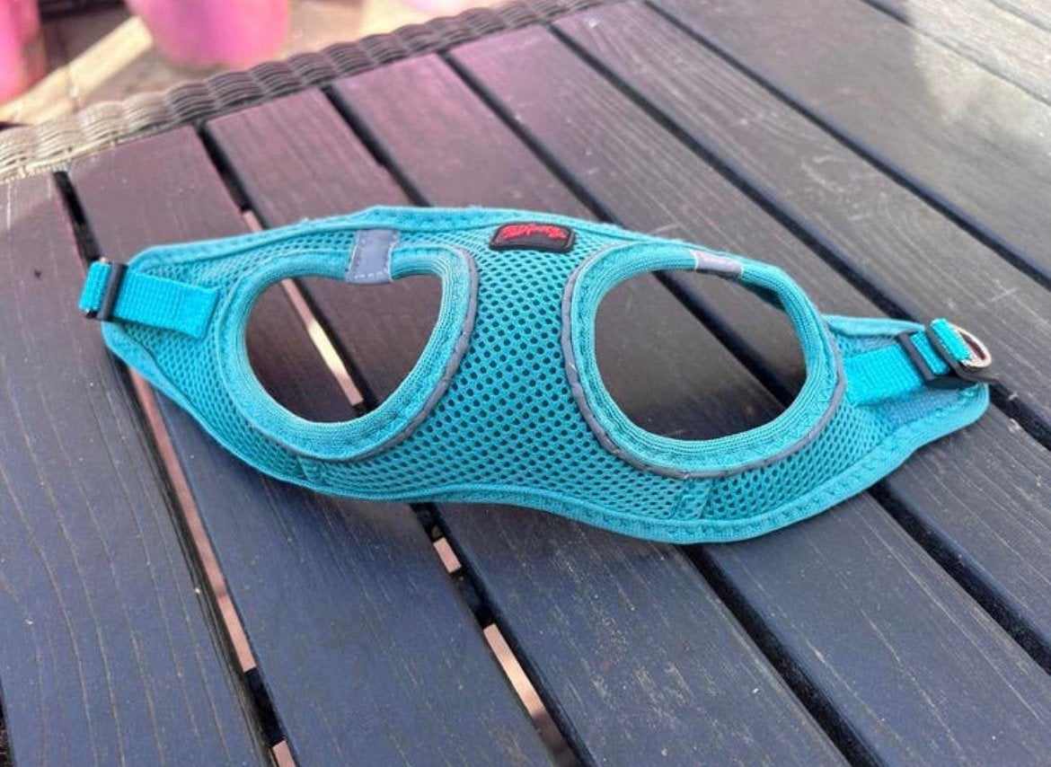 Chihuahua tuigjes 2x blauw xxs, Ophalen of Verzenden, Zo goed als nieuw