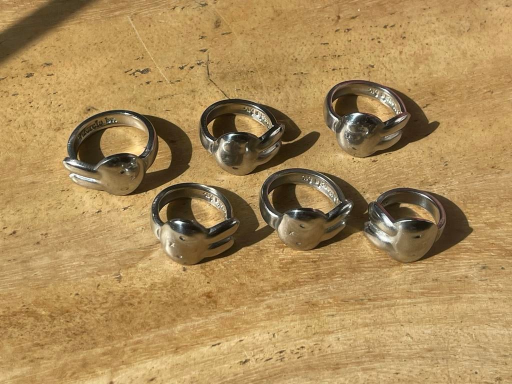 Nijntje Ring, IJzer of Staal, 19 tot 20, Nieuw, Ophalen of Verzenden