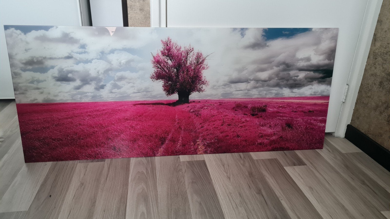 Prachtig glas schilderij 'De eenzame boom' als nieuw 120x50, Huis en Inrichting, Woonaccessoires | Schilderijen, Tekeningen en Foto's