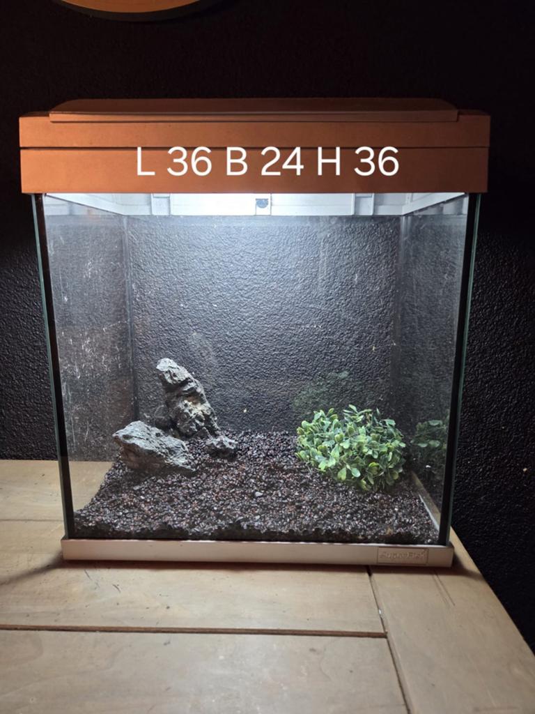 Aquarium met inrichting en verlichting, Ophalen, Zo goed als nieuw, Leeg aquarium