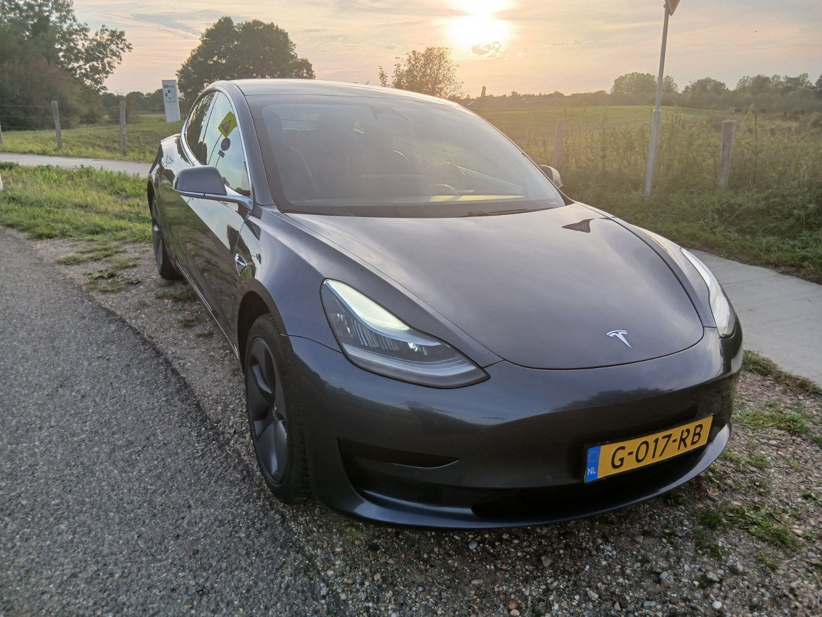 Tesla Model 3 2019 Grijs