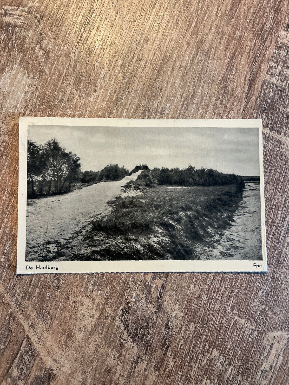 Oude ansichtkaart De Haelberg Epe Gelopen, Verzamelen, Ophalen of Verzenden, Gelopen, Gelderland