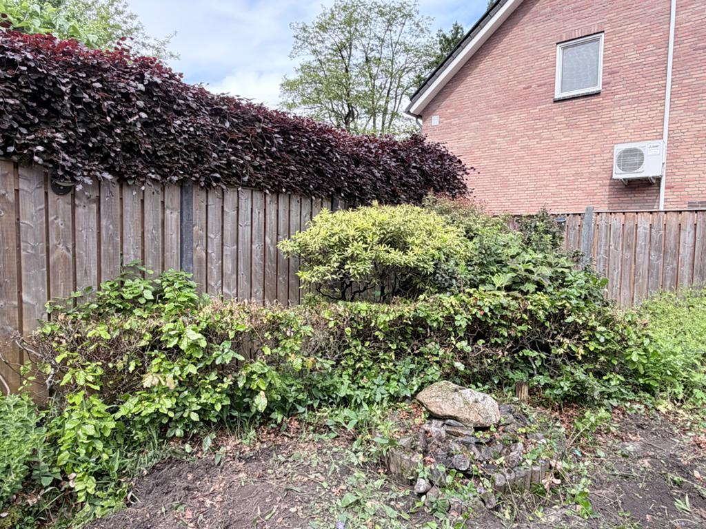 Gratis groene beukenhaag (ca. 5 meter) - Zelf uitgraven, Tuin en Terras, Ophalen, Zo goed als nieuw