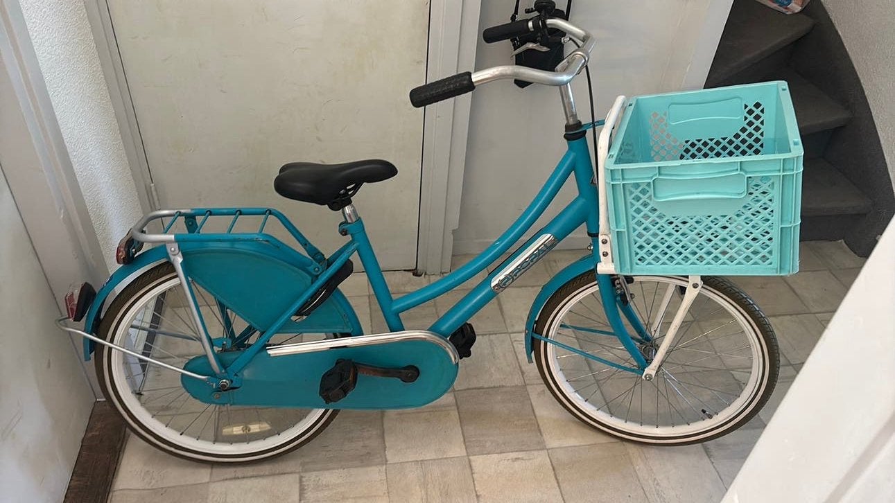 22 inch.  Fiets, Minder dan 47 cm, Ophalen of Verzenden, Zo goed als nieuw, Staal