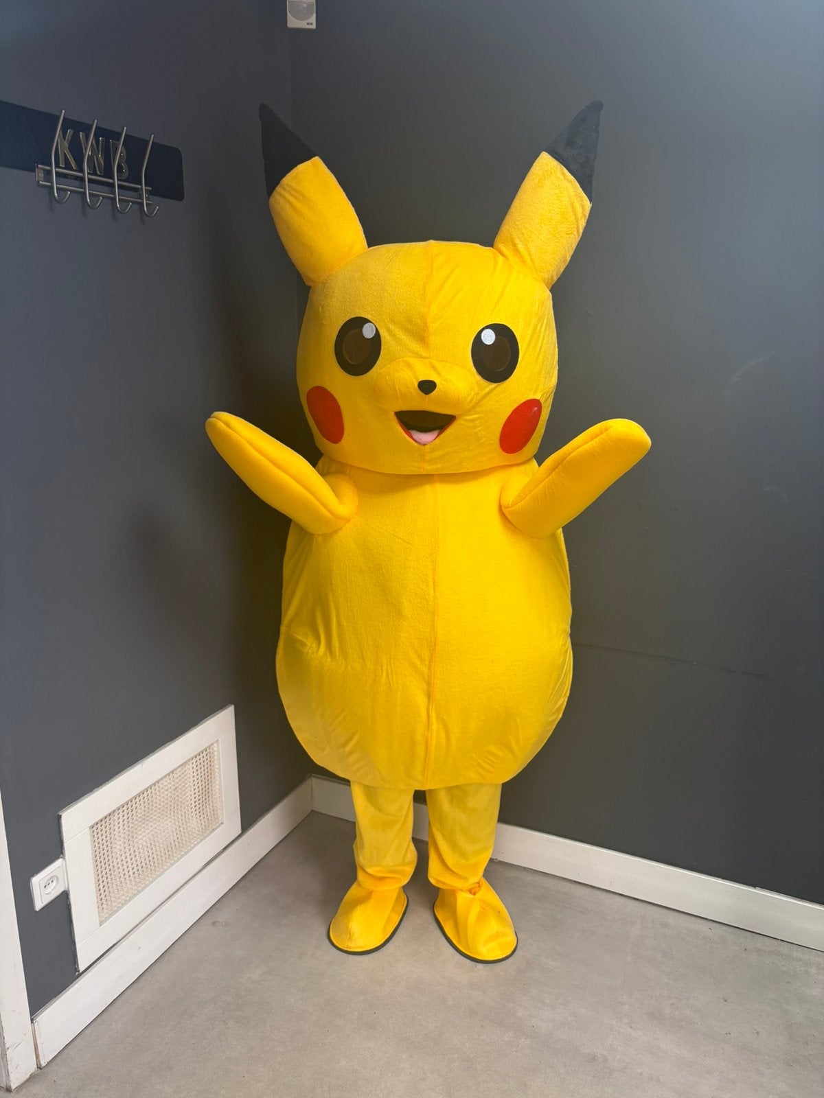 Mascotte pakken te huur angel stitch labubu minion bumba, Hobby en Vrije tijd, Feestartikelen | Verhuur, Gebruikt, Verjaardag
