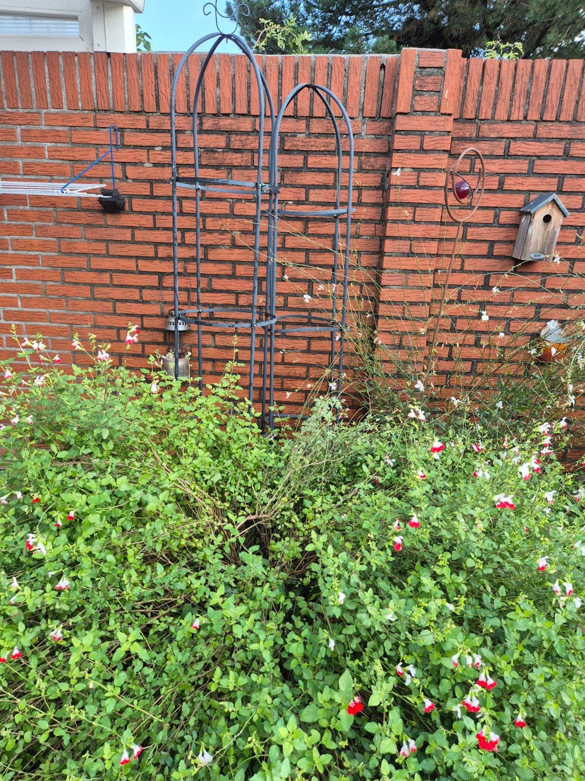 Metalen Obelisk Klimrek voor Tuinplanten rozenboog, Ophalen, Gebruikt