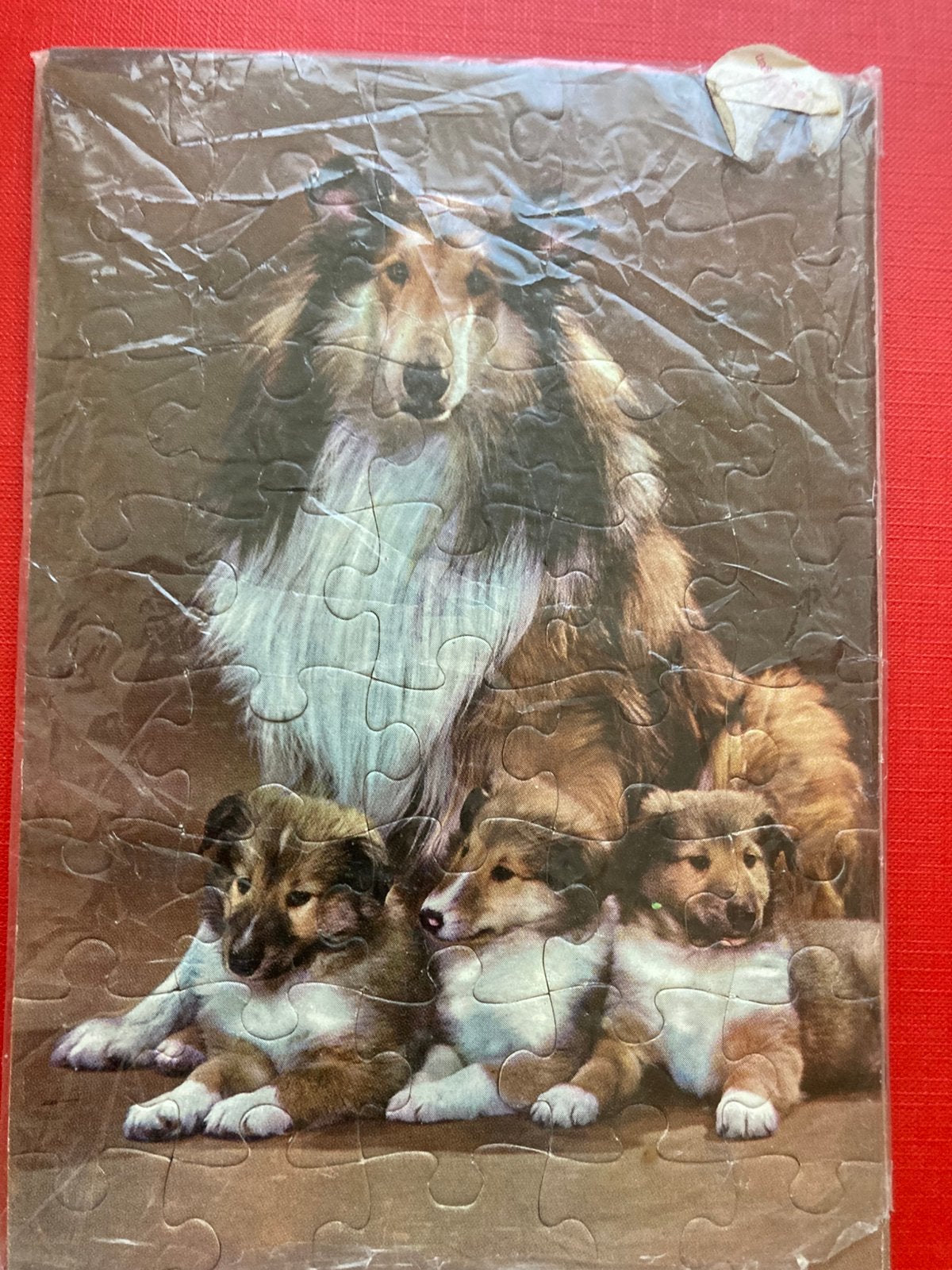 Puzzel hond, Ophalen of Verzenden, Minder dan 500 stukjes, Zo goed als nieuw