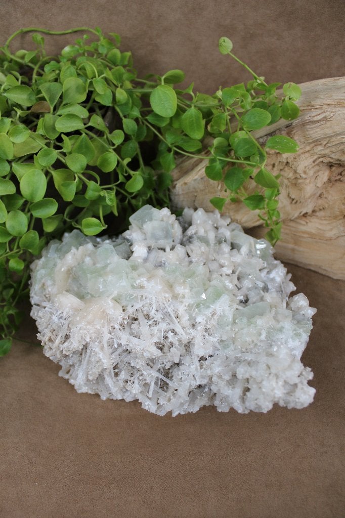 Lichtgroene apofyliet met stilbiet en scoleciet, Ophalen, Mineraal