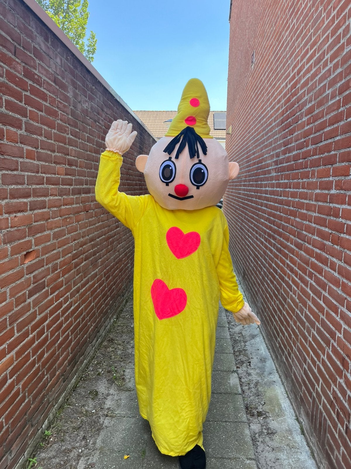 BUMBA MASCOTTE VERHUUR, Ophalen of Verzenden, Zo goed als nieuw, Verjaardag