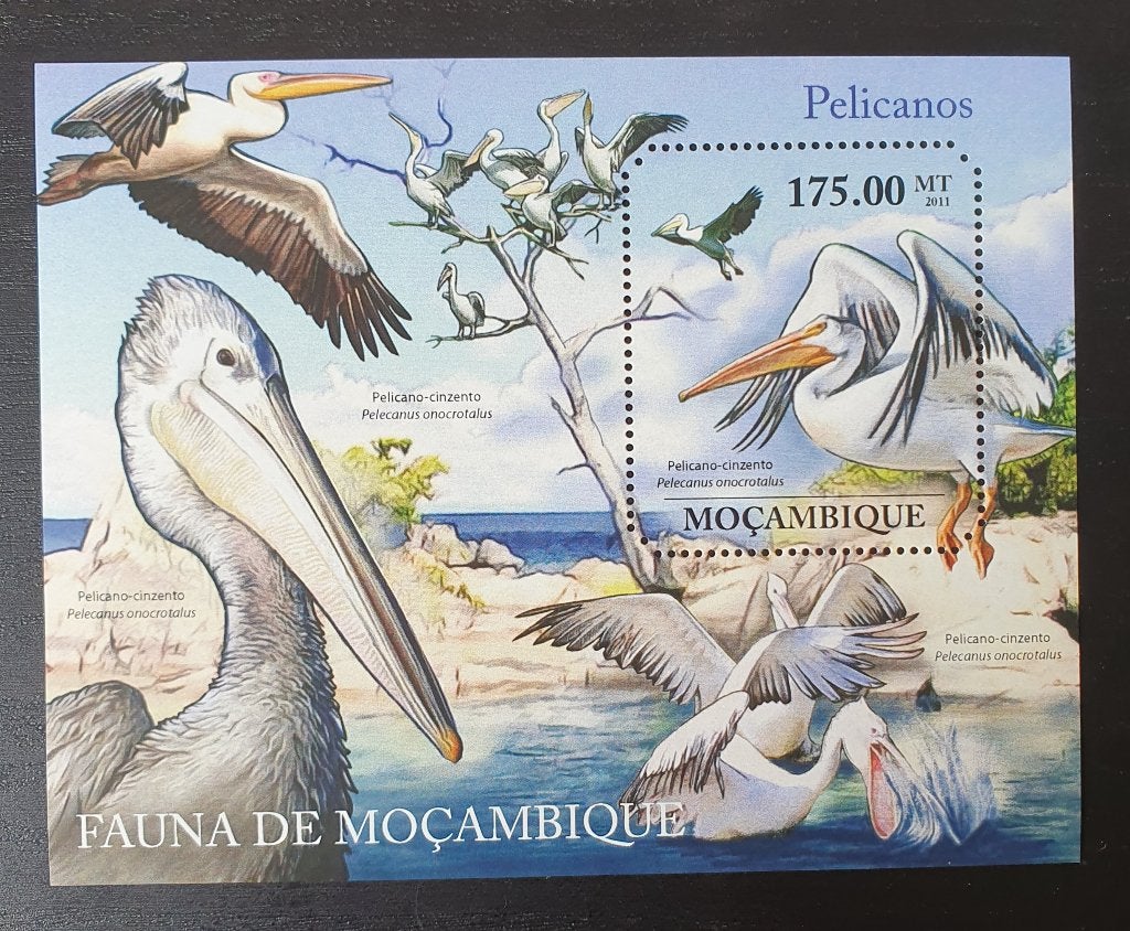 Mozambique 2011 Vogels Pelikaan Michel blok 499 postfris, Postzegels en Munten, Verzenden, Postfris, Dier of Natuur