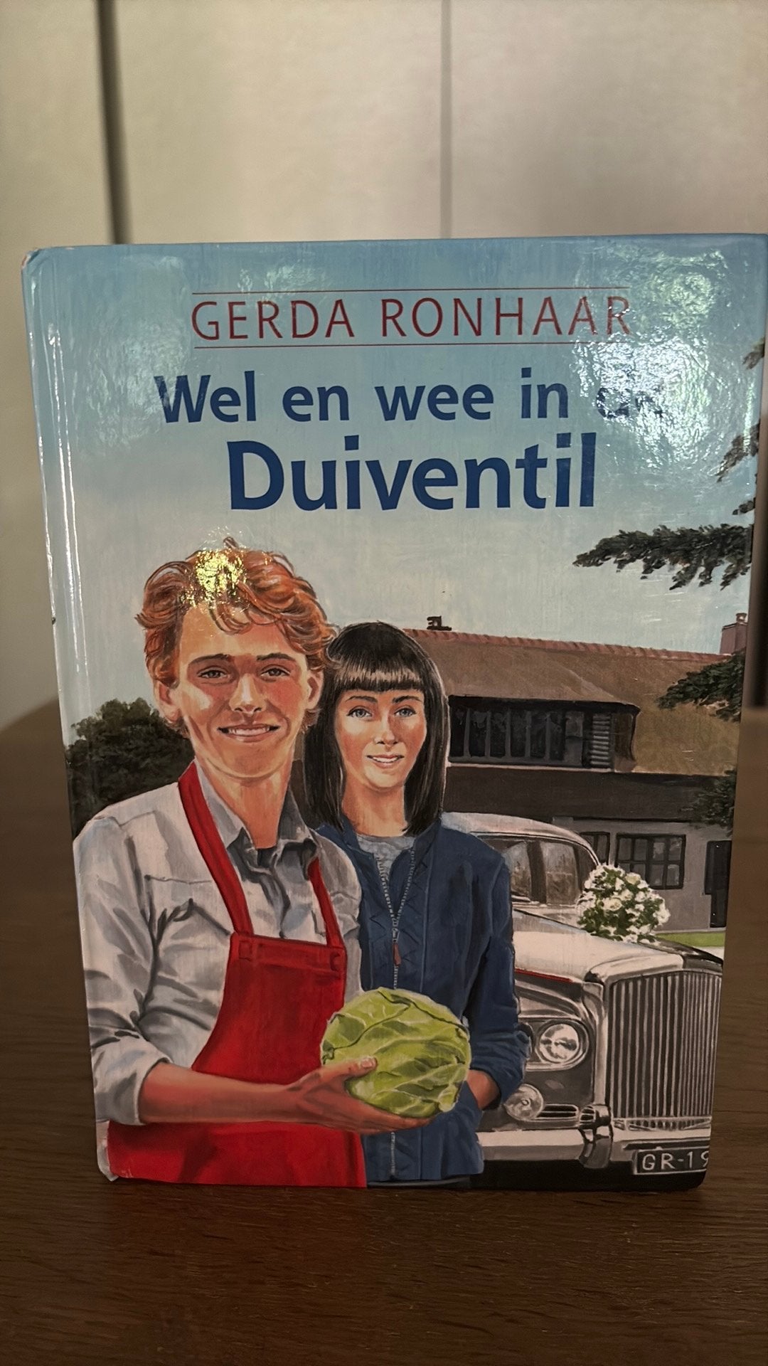Gerda Ronhaar - Wel en wee in de Duiventil, Ophalen of Verzenden, Gelezen, Gerda Ronhaar