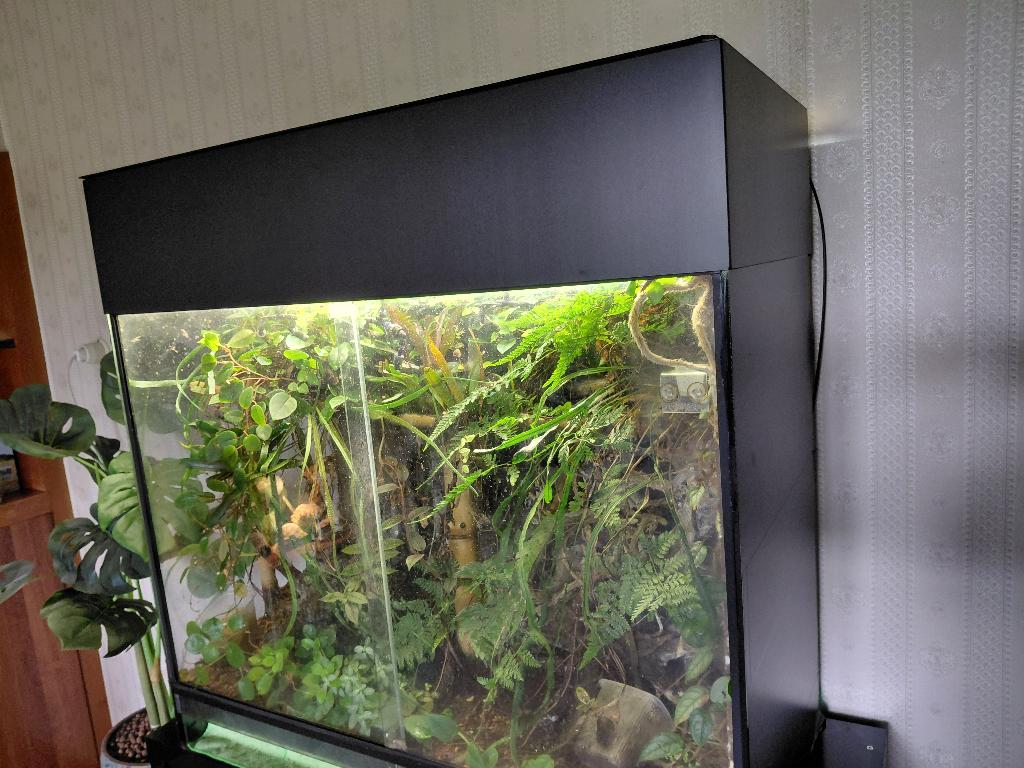 Paludarium, Dieren en Toebehoren, Reptielen en Amfibieën | Toebehoren, Ophalen, Gebruikt, Terrarium of Paludarium