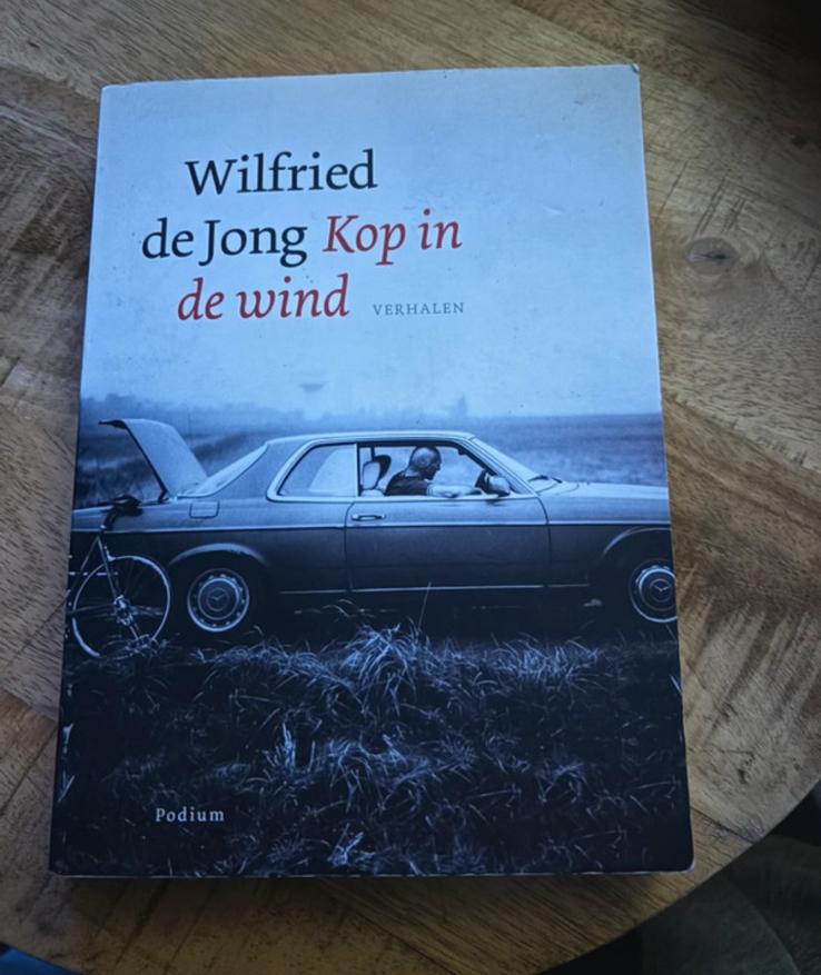 Wilfried de Jong - Kop in de wind, Ophalen of Verzenden, Gelezen