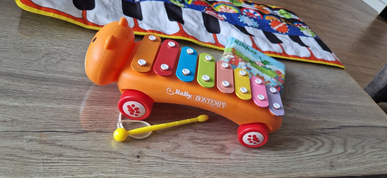 xylofoon, Kinderen en Baby's, Ophalen, Overige typen