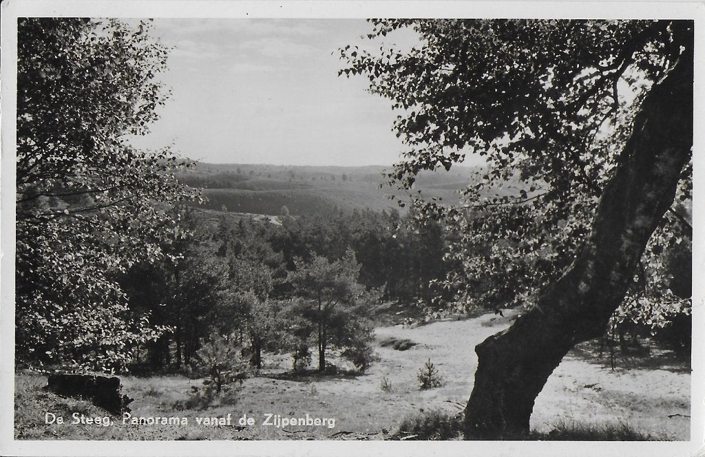Q107 Gelopen oude ansichtkaart de steeg vanaf de zijpenberg, Ophalen of Verzenden, 1960 tot 1980, Gelopen, Gelderland