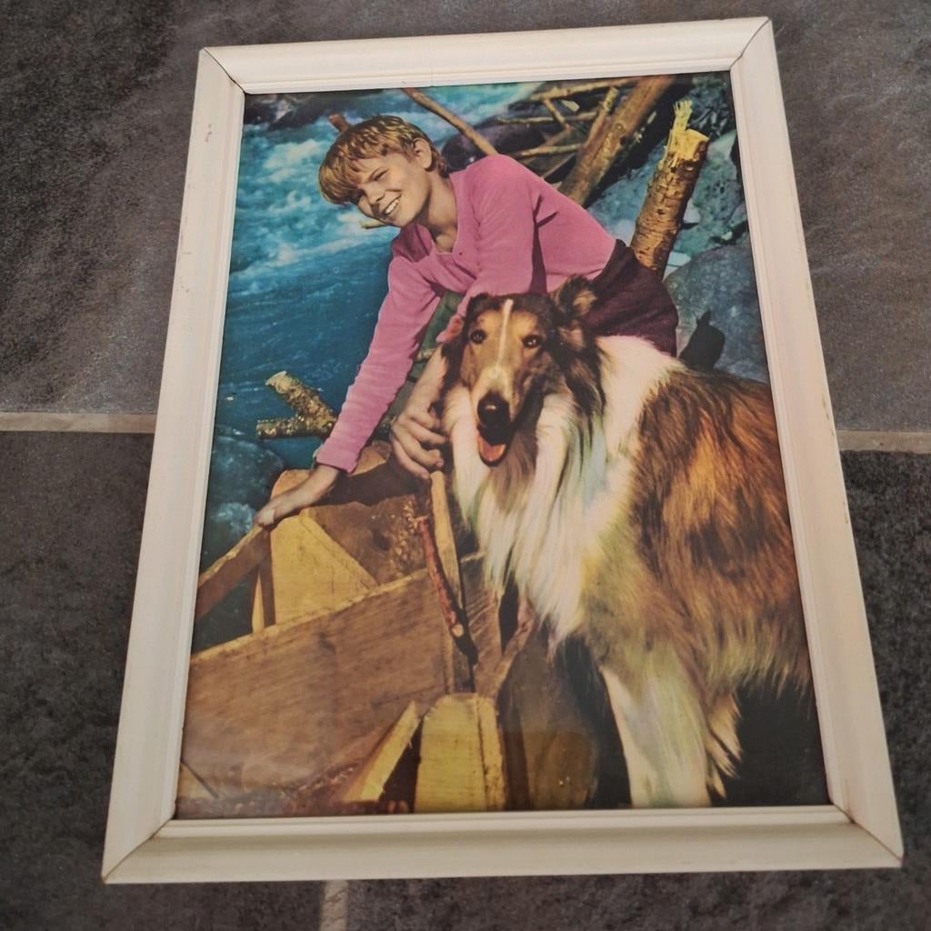 Lassie & Timmy ingelijste vintage afbeelding jaren 50, Ophalen of Verzenden