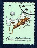 Fauna - Dieren - Torren - Cuba - 5 - (jr.'80) - gebr, Ophalen of Verzenden, Gestempeld, Dier of Natuur