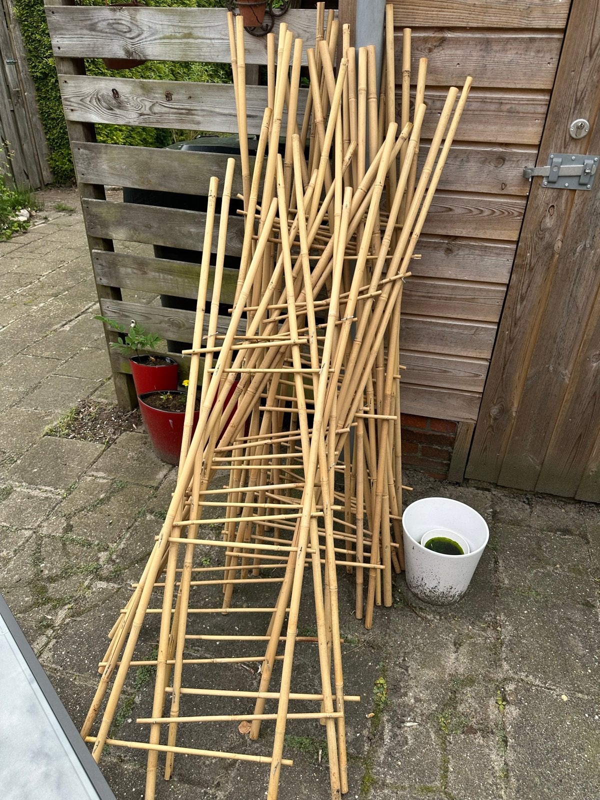 20 Bamboe rekken voor klimplanten of decoratie, Tuin en Terras, Planten | Tuinplanten, Ophalen, Klimplanten