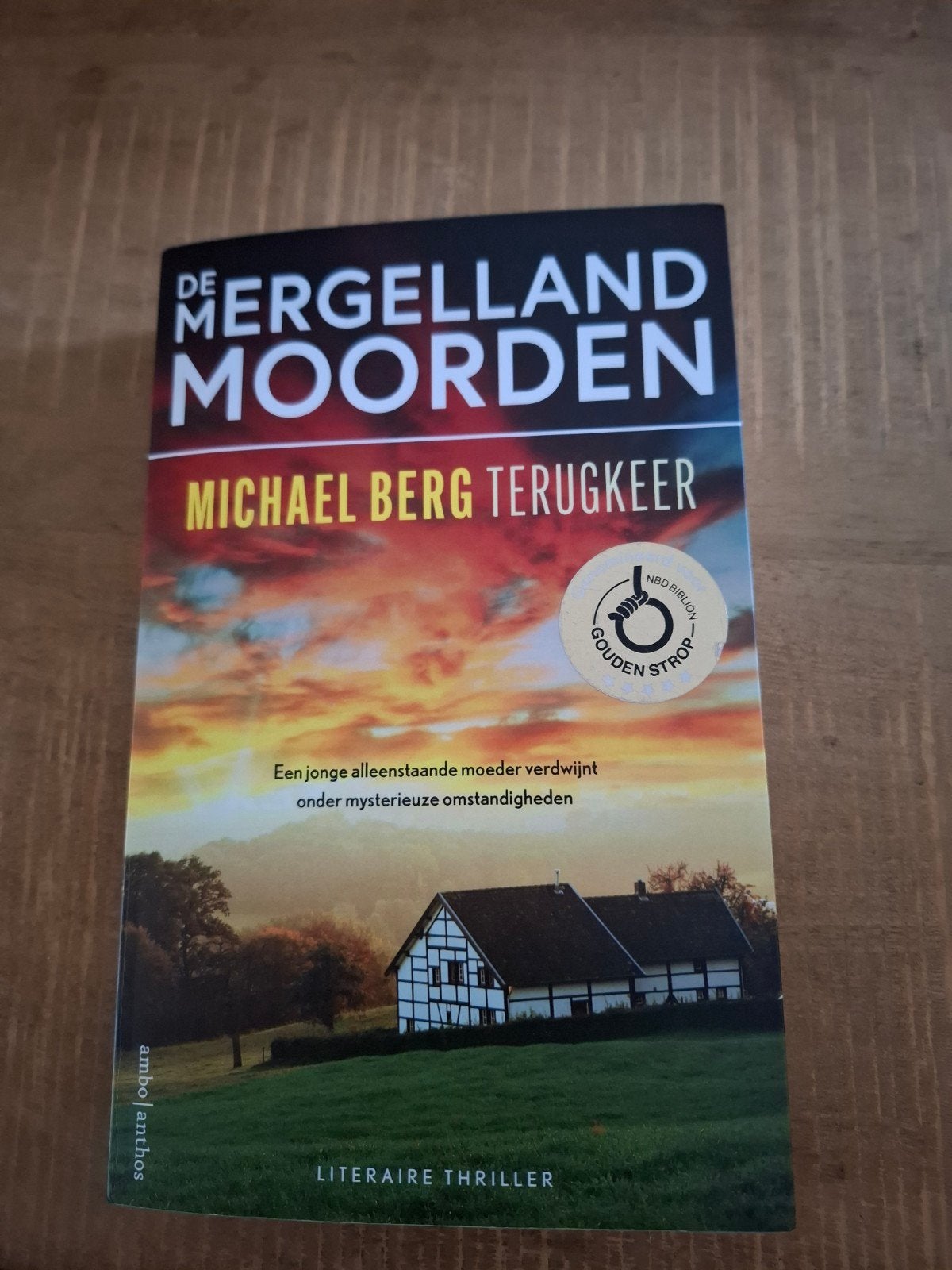 De Mergelland Moorden - Michael Berg Terugkeer, Boeken, Ophalen, Zo goed als nieuw, Michael Berg, Nederland