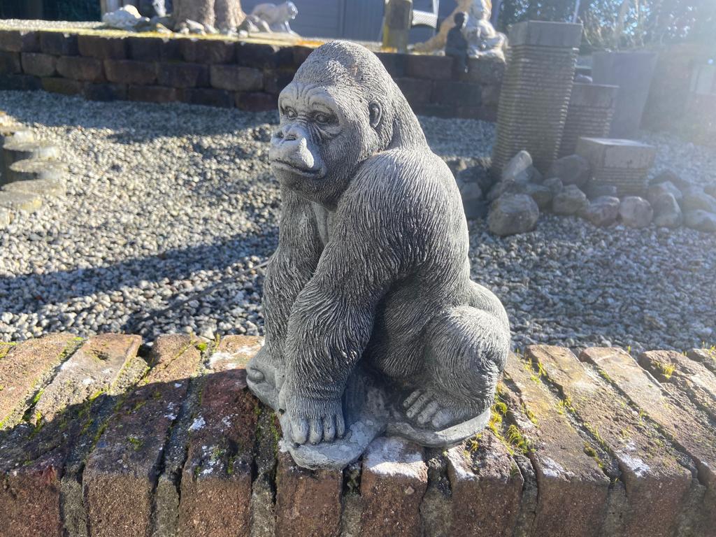 Tuinbeeld Gorilla , hoogte 28cm, Tuin en Terras, Tuinbeelden, Ophalen, Nieuw, Beton, Dierenbeeld