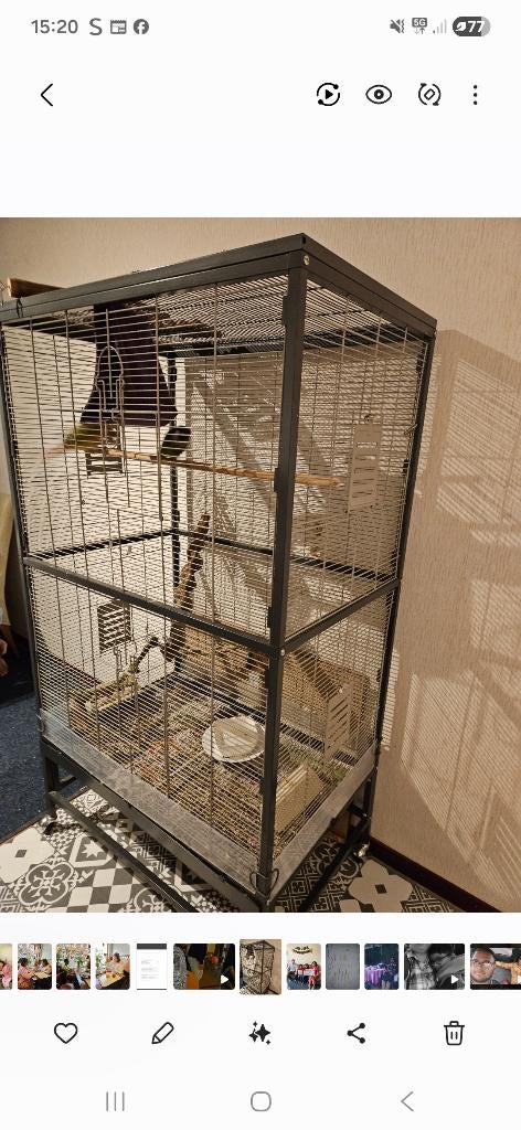 Vogelkooi, Tuin en Terras, Ophalen, Gebruikt