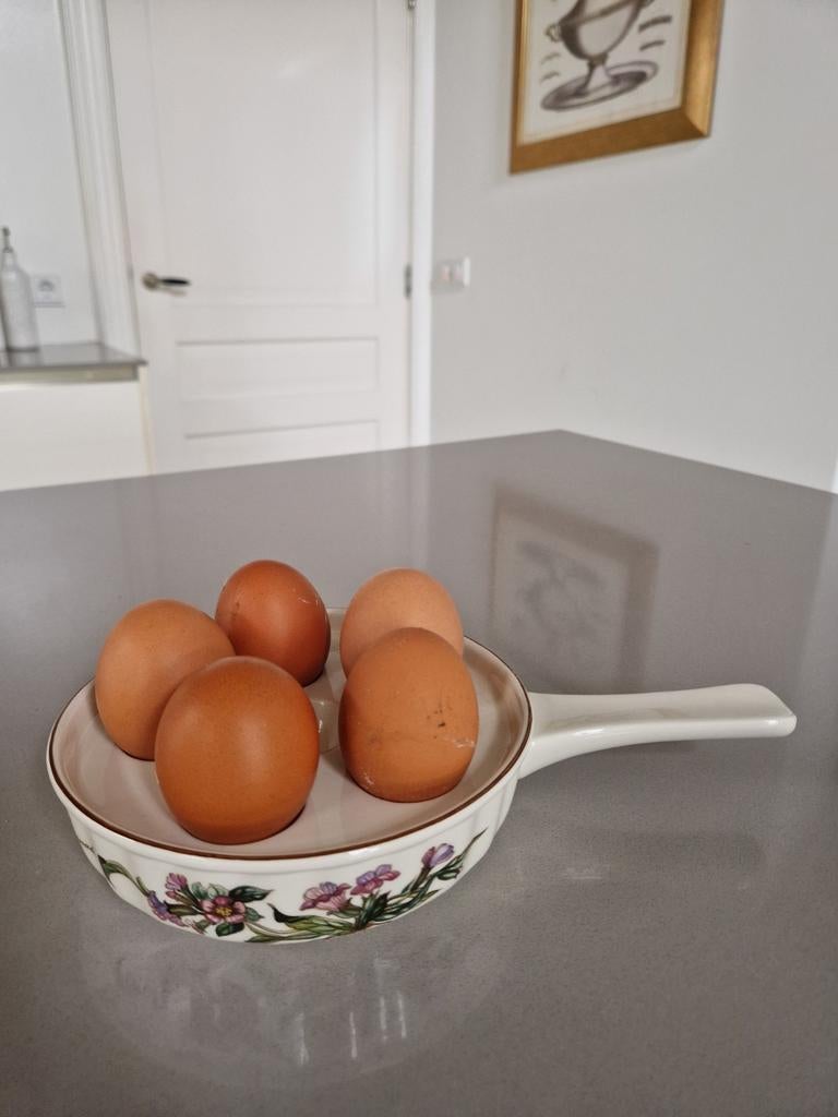 6 Escargots Ovenschalen Villeroy en Boch Botanica, Huis en Inrichting, Keuken | Servies, Nieuw, Schaal of Schalen, Overige stijlen