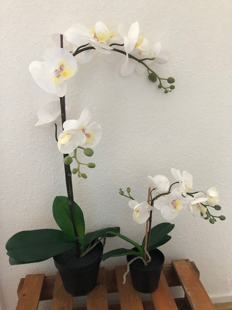 Mooie Orchidee kust plant, Ophalen, Zo goed als nieuw, Kunstplant