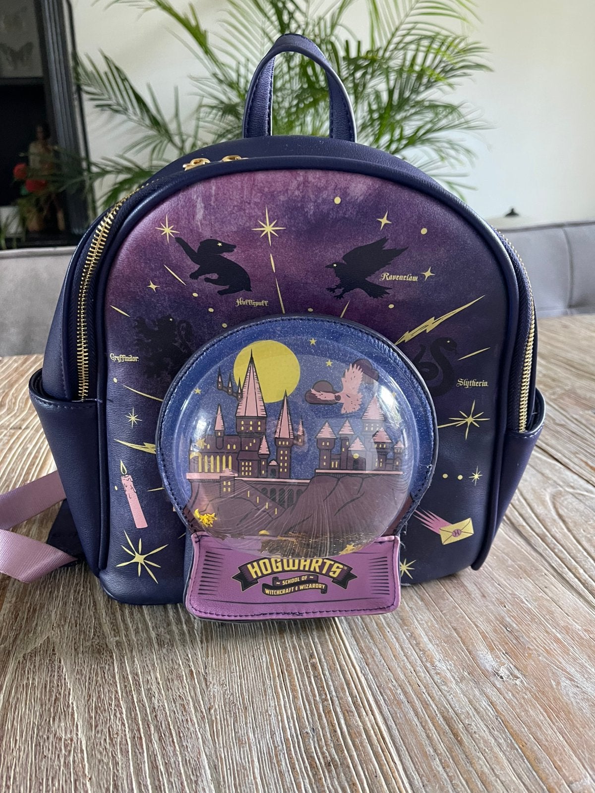Harry Potter Hogwarts rugzak Danielle Nicole, Ophalen of Verzenden, Nieuw, Overige merken