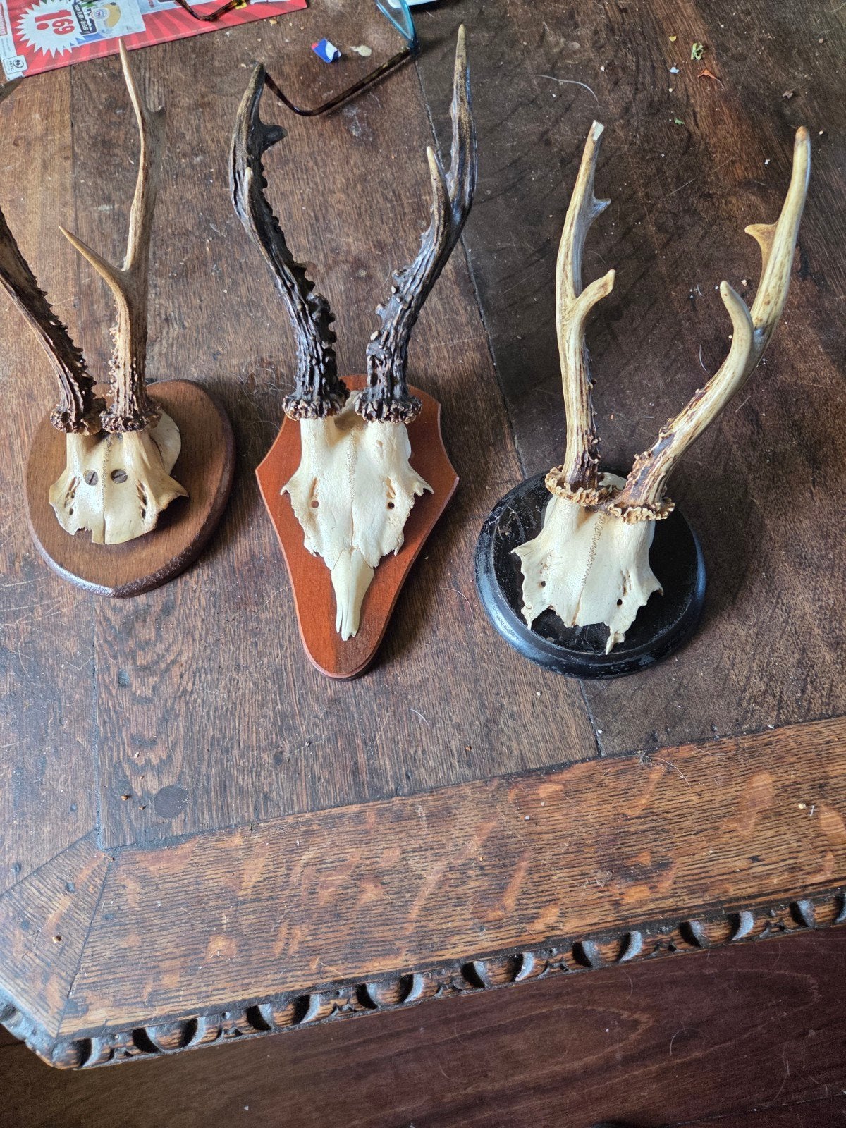 Set van 3 Herten Geweien op Houten Plaquettes, Ophalen