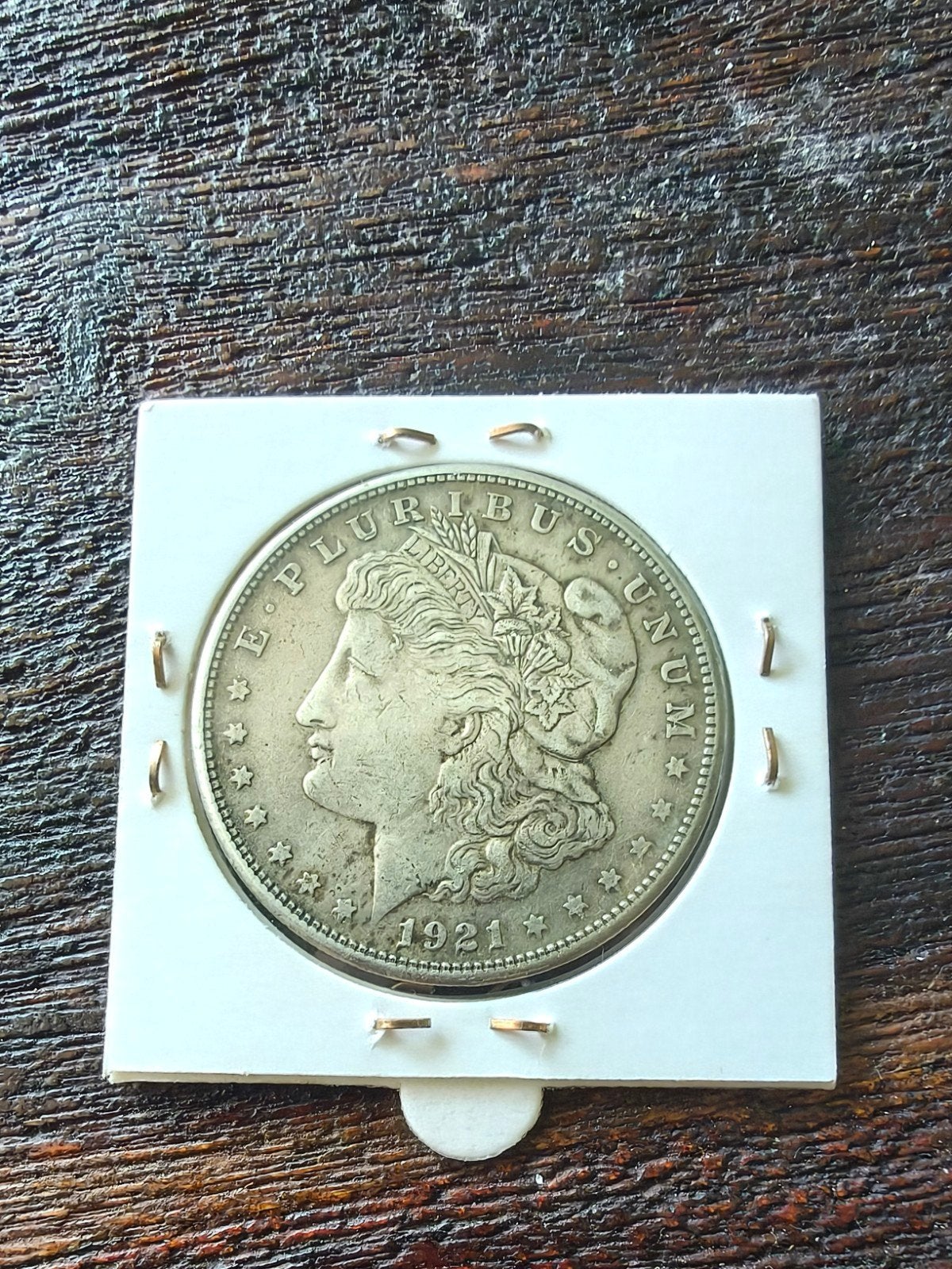 Morgan Dollar USA 1921, Postzegels en Munten, Munten | Amerika, Ophalen of Verzenden, Noord-Amerika, Losse munt, Zilver
