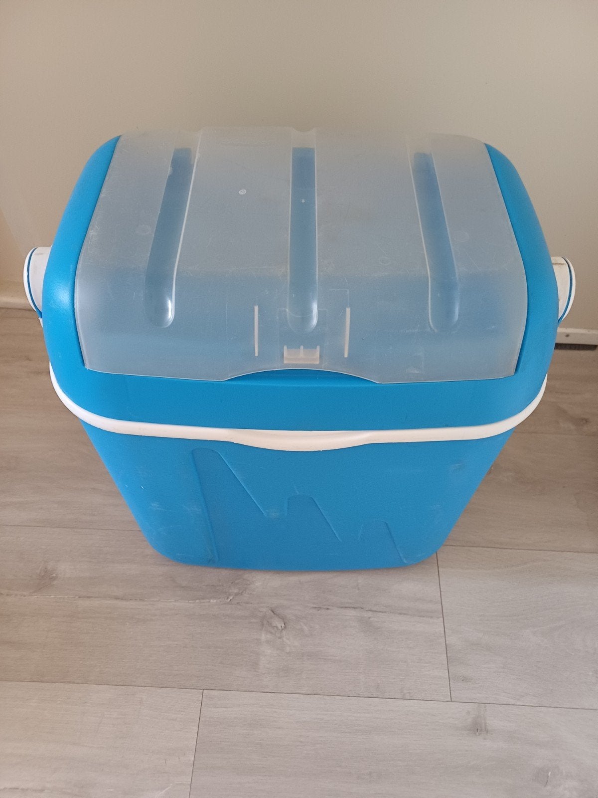 Curver Koelbox 32 Liter - Ideaal voor Uitjes!, Caravans en Kamperen, Koelboxen, Ophalen