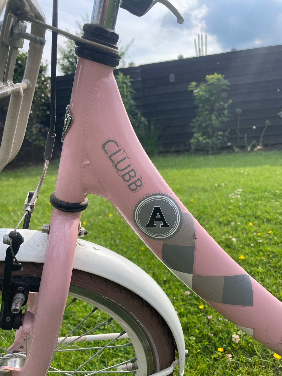 Roze Kinderfiets Meisjesfiets 20 inch - Clubb Alpina, Ophalen of Verzenden, Gebruikt, Velgrem, 20 inch of meer