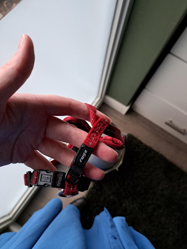 Rood Rogz hondentuigje maat s, Dieren en Toebehoren, Ophalen of Verzenden, Zo goed als nieuw, Hondenriem