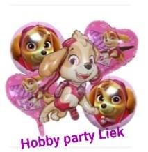 Paw patrol skye- 5 delige set ballonnen nr P-06, Ophalen of Verzenden, Nieuw, Versiering, Verjaardag