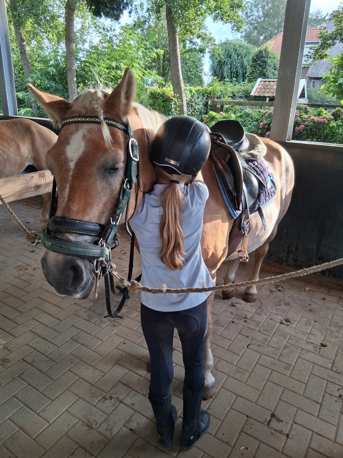 Betrouwbare bijrijder/Verzorger aangeboden, Dieren en Toebehoren, Paarden en Pony's | Verzorgingsproducten, Overige merken, Ophalen of Verzenden
