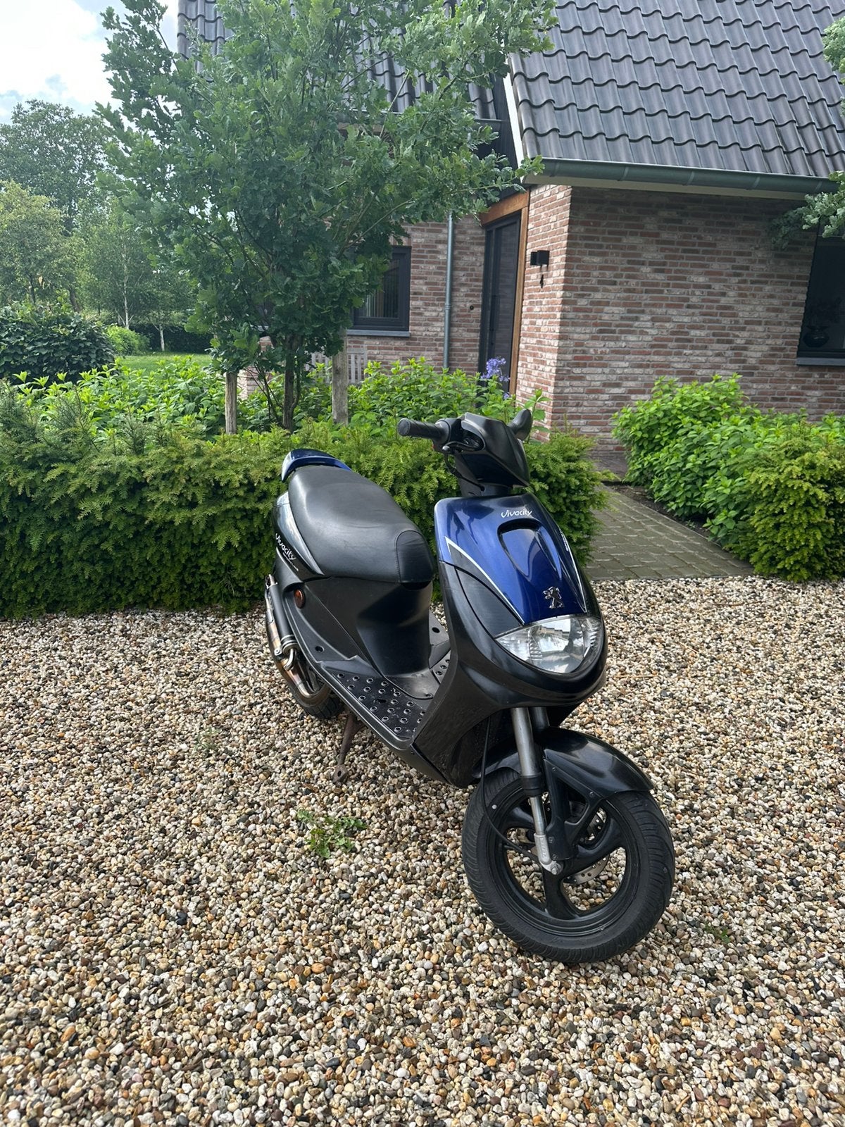 Peugeot Vivacity 70cc Brom, Ophalen, Zo goed als nieuw, Tweetakt, Vivacity