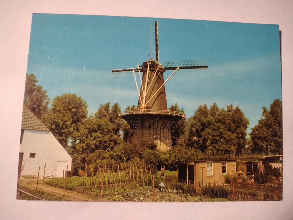 Buren, Ophalen of Verzenden, 1940 tot 1960, Gelderland