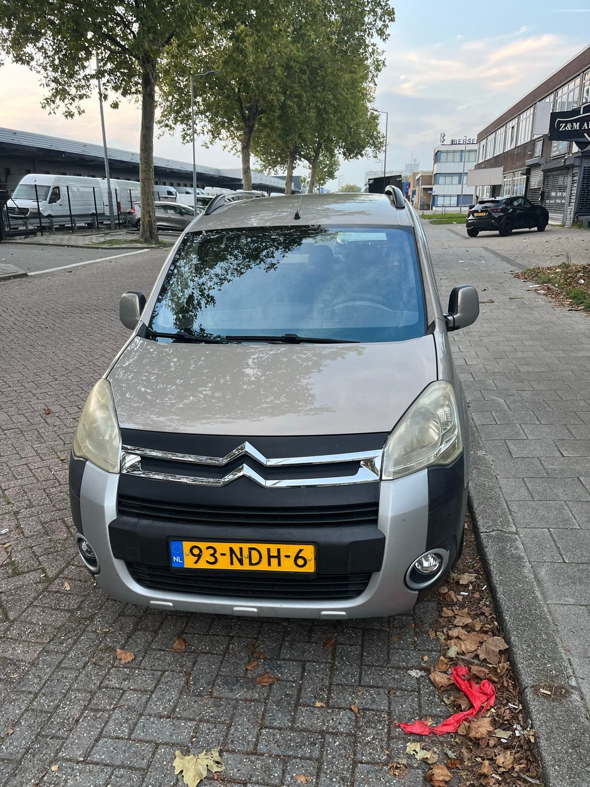 Citroën Berlingo 1.6 88KW 2010 Beige, Voorwielaandrijving, 1380 kg, 4 cilinders, Beige