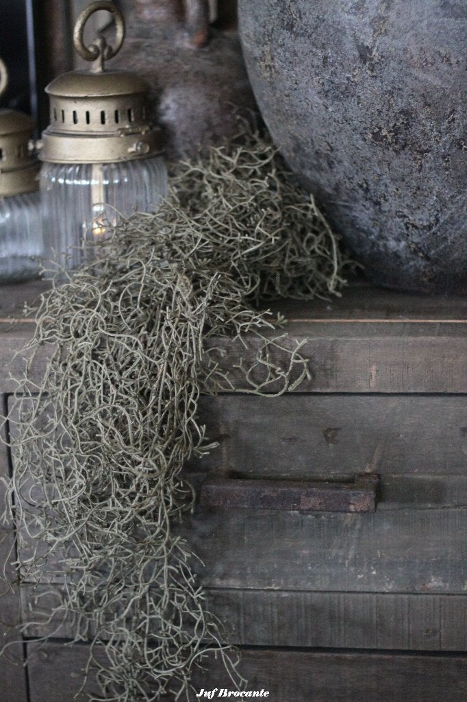 SYLXZ Tillandsi Garland Vintage Brown / Tillandsia toef, Www.jufbrocante.nl, Www.jufbrocante.nl, Nieuw, Ophalen of Verzenden