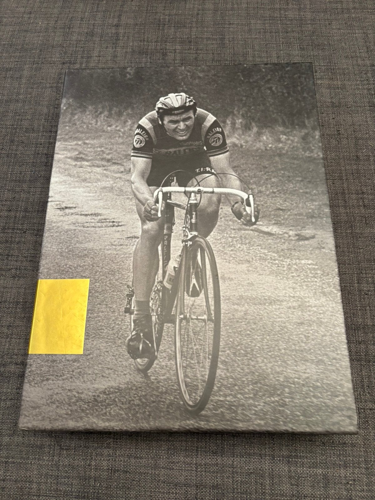 Hennie Kuiper: Kampioen Wilskracht - Wielerboek, Ophalen of Verzenden, Zo goed als nieuw, Lopen en Fietsen